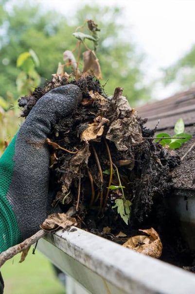 Gutter Cleaning Services